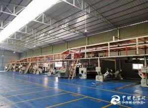 技改升級驅動高質發展——福建南平紙箱廠七層紙板線技改項目順利完成