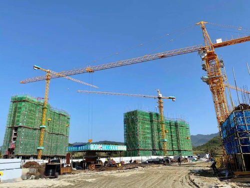 總投資4.3億元！壇廠棚改項目進展順利，項目擔保機制保障居民權益